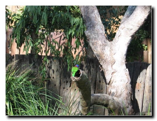 07 Vogelwelt